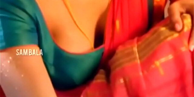 beautiful,bosom,exotic,hot,indian,saree,tamil