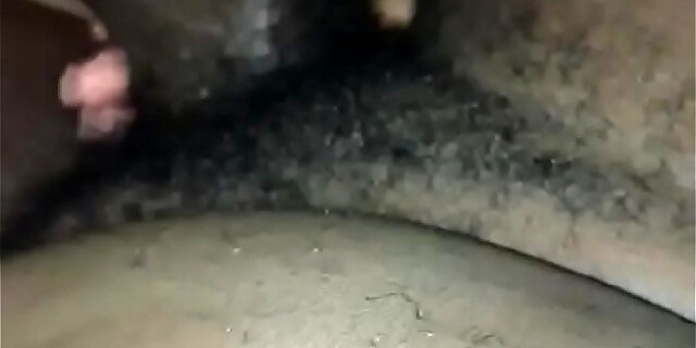 amateur,big cock,black cock,blowjob,closeup,cum,cumshot,dick,ebony,indian,sexy