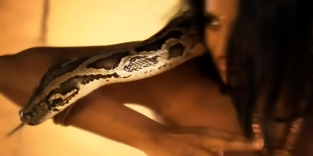 asian,babe,beautiful,brunettes,dancer,desi,erotic,exotic,glamour,indian,lover,music,naked,nude,oriental,sensual,sexy,softcore,strip,tease