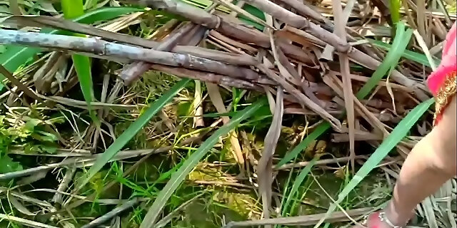 anal sex,bhabhi outdoor,college outdoor,desi outdoor,exotic,girlfriend outdoor,hard,hindi outdoor,indian,indian public porn,lalita singh,lalita singh outdoor,mast sex outside,new outdoor,outdoor,park sex,public porn